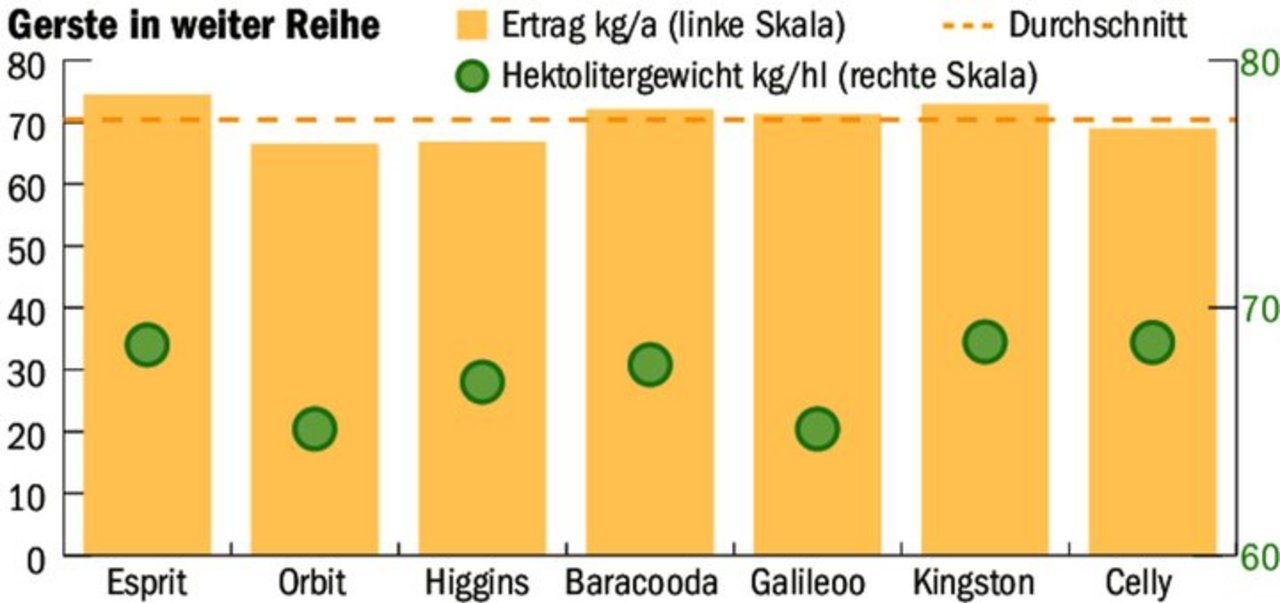 Der Durchschnittsertrag bei der Gerste betrug 70 dt/ha. Die Sorte Esprit lag mit rund 74 kg/a vorn.