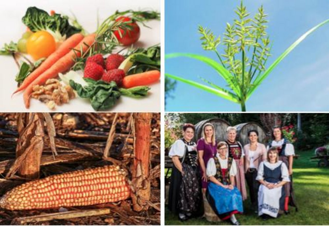 2018: Diese Themen bewegten die Landwirtschaft - bauernzeitung.ch
