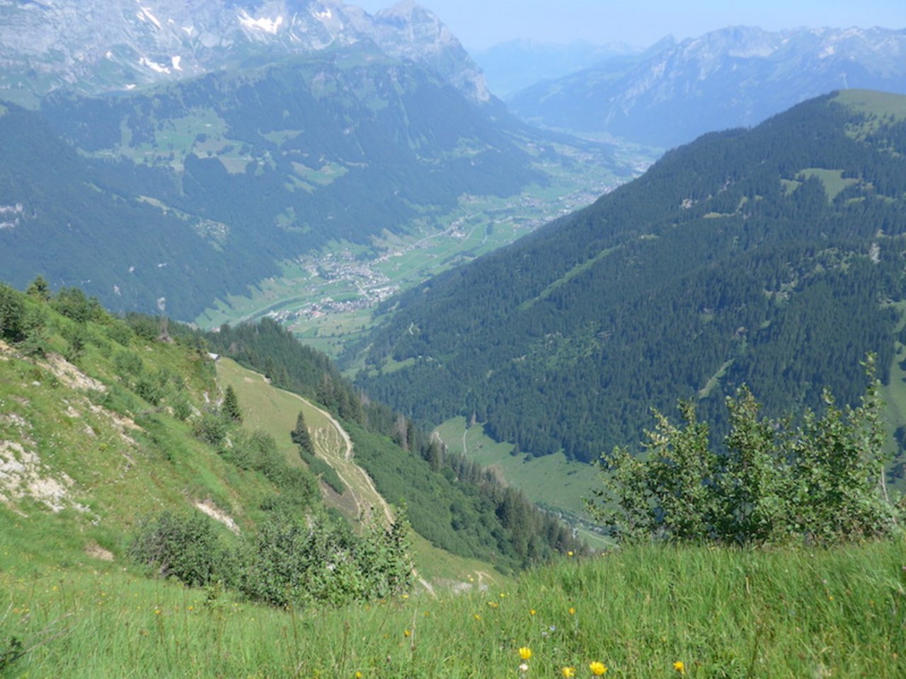 Steile Angelegenheit Die Alp Bodmen reicht von der untersten Staffel mit 1350 Metern bis auf 2200 Meter über Meer. 
