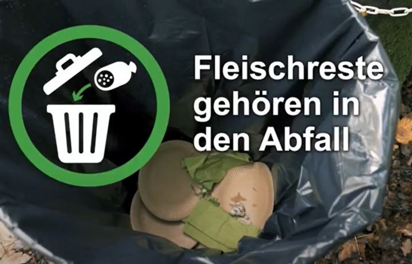 Ein neues BLV-Video zeigt das richtige Verhalten nach einem Wald-Picknick. (Screenshot blv.admin.ch)