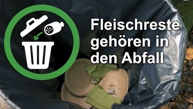 Ein neues BLV-Video zeigt das richtige Verhalten nach einem Wald-Picknick. (Screenshot blv.admin.ch)