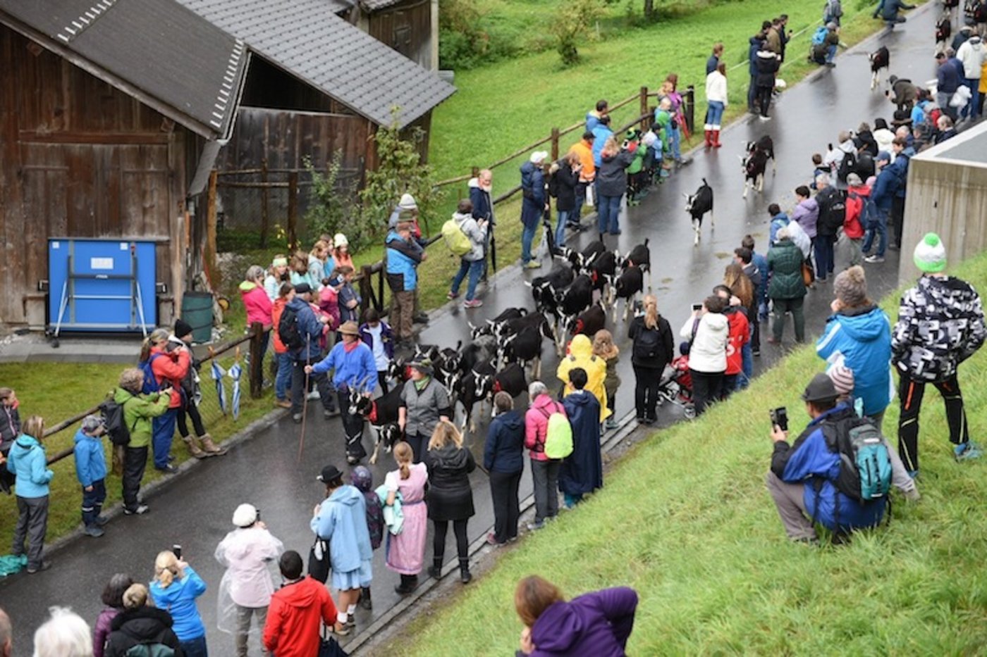 Im Vergleich zum letzten Jahr seien die Besucherzahlen etwas tiefer ausgefallen, man sei aber trotzdem zufrieden mit dem Event, heisst es bei den Veranstaltern.