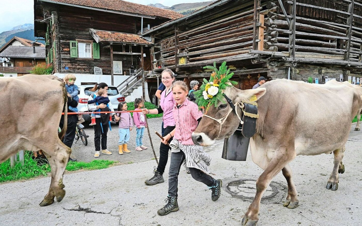 Die Zuschauer, gross und klein, bewundern die kunstvoll geschmückten Kühe mit ihren gut gelaunten und pflichtbewussten Hirtinnen. 