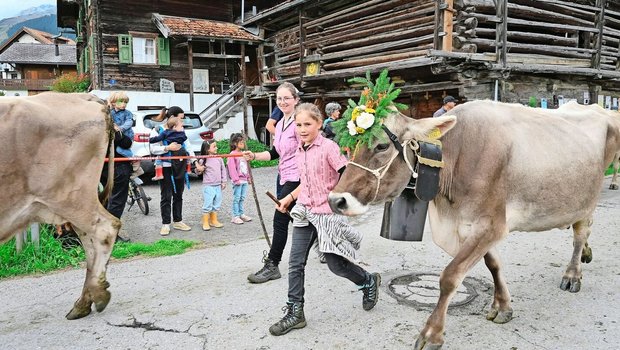 Die Zuschauer, gross und klein, bewundern die kunstvoll geschmückten Kühe mit ihren gut gelaunten und pflichtbewussten Hirtinnen. 