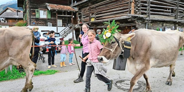 Die Zuschauer, gross und klein, bewundern die kunstvoll geschmückten Kühe mit ihren gut gelaunten und pflichtbewussten Hirtinnen. 