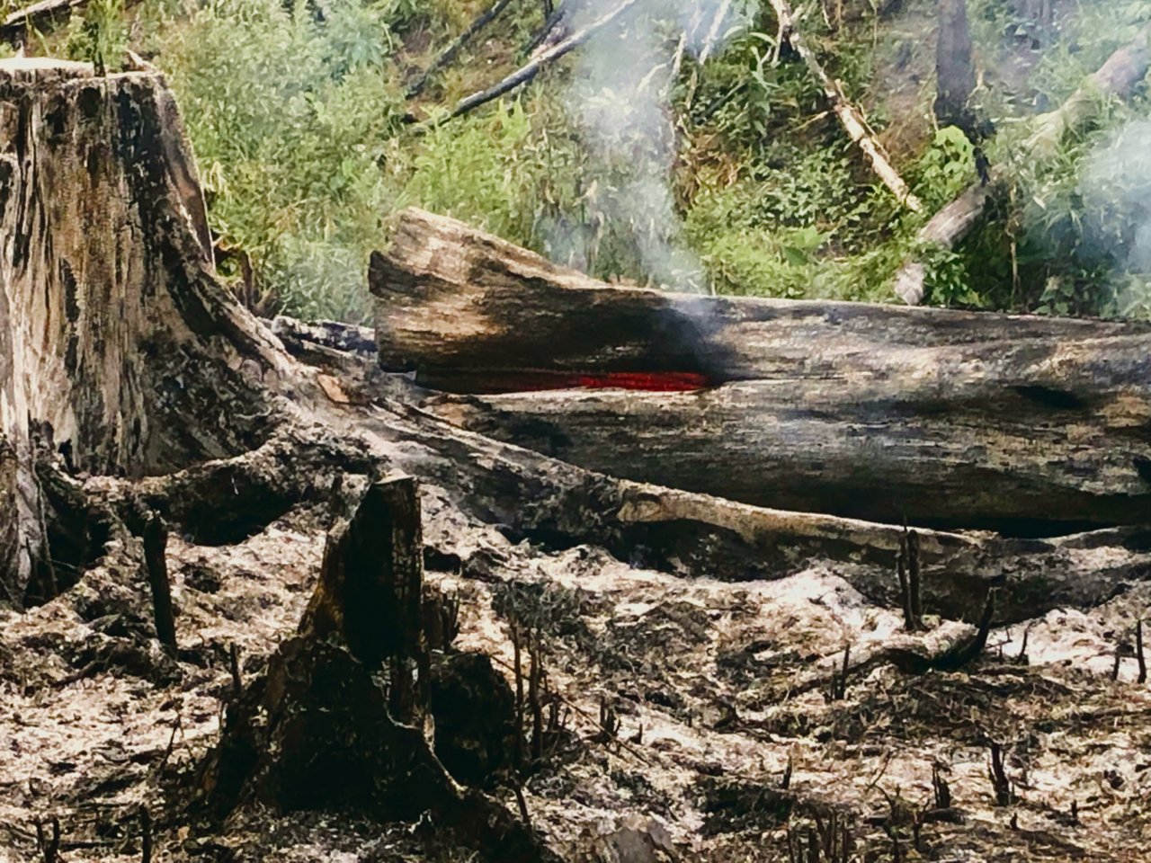 Bild einer Brandrodung für die Neuanlage einer Palmölplantage im indonesischen Regenwald.