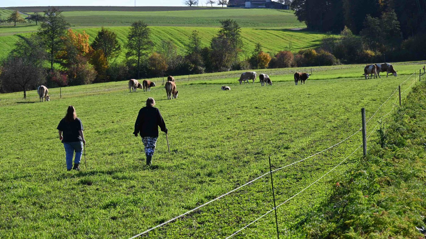 Ronja und Alexandra machen sich auf, um die Kühe von der Weide zu holen. 