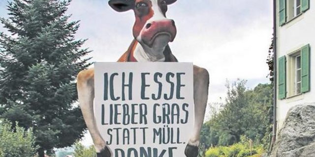 «Die Behandlungen wegen Fremdkörpern bei Kühen werden immer mehr», sagt Paul Trachsel, Tierarzt in St. Antoni. (Bild Martina Schafer)