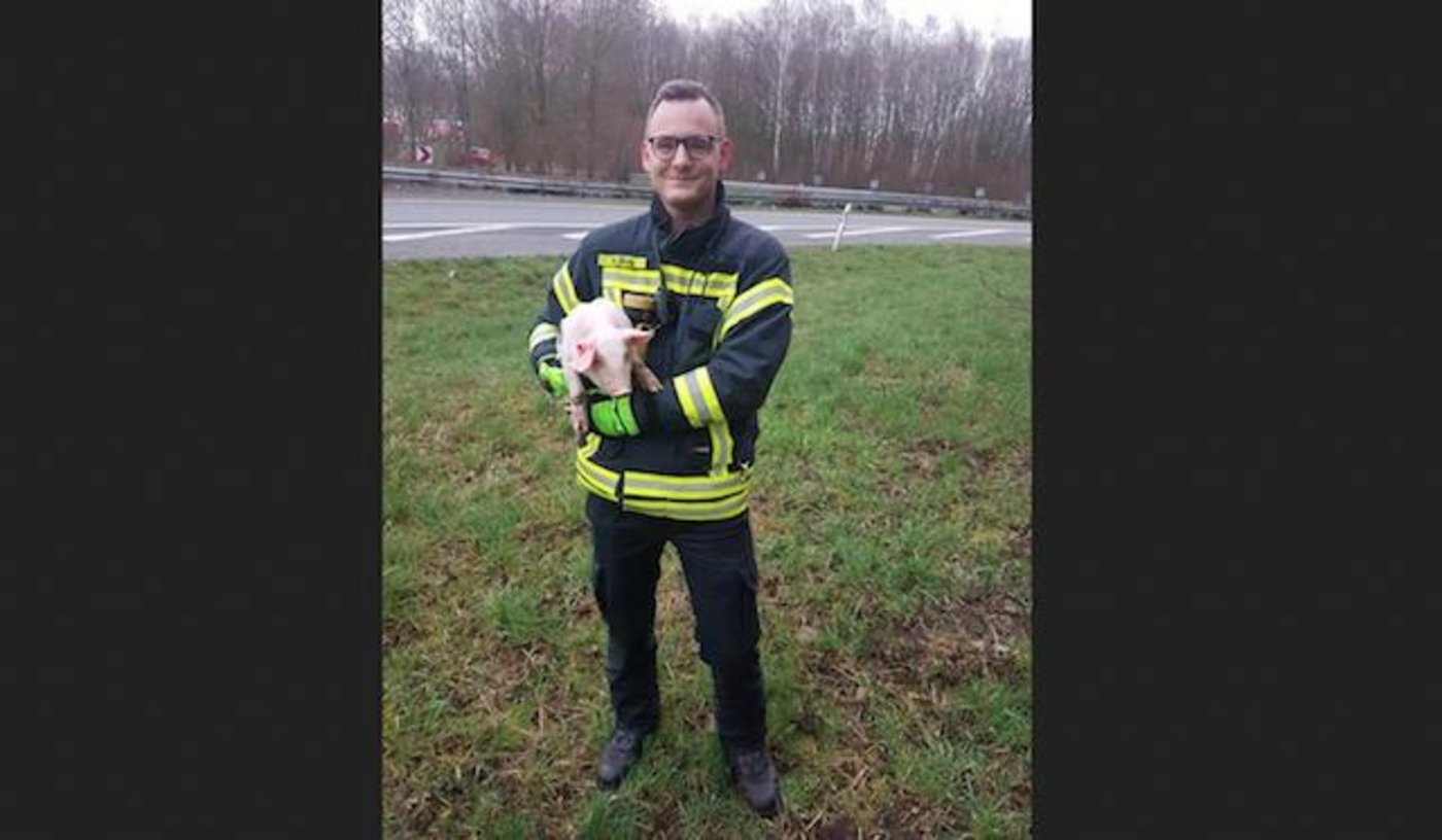 Dieses Ferkel hat Schwein gehabt. (Bild Facebook/Freiwillige Feuerwehr Dümlingen)
