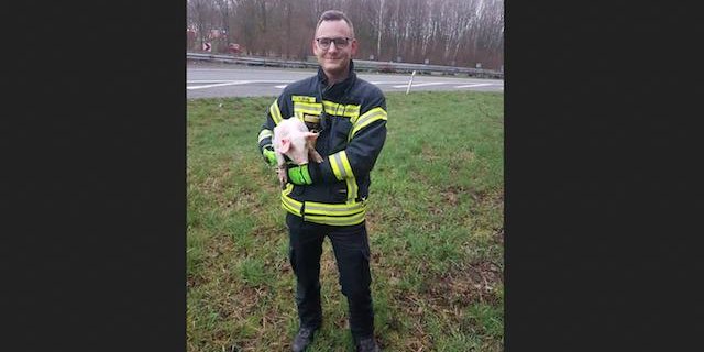 Dieses Ferkel hat Schwein gehabt. (Bild Facebook/Freiwillige Feuerwehr Dümlingen)