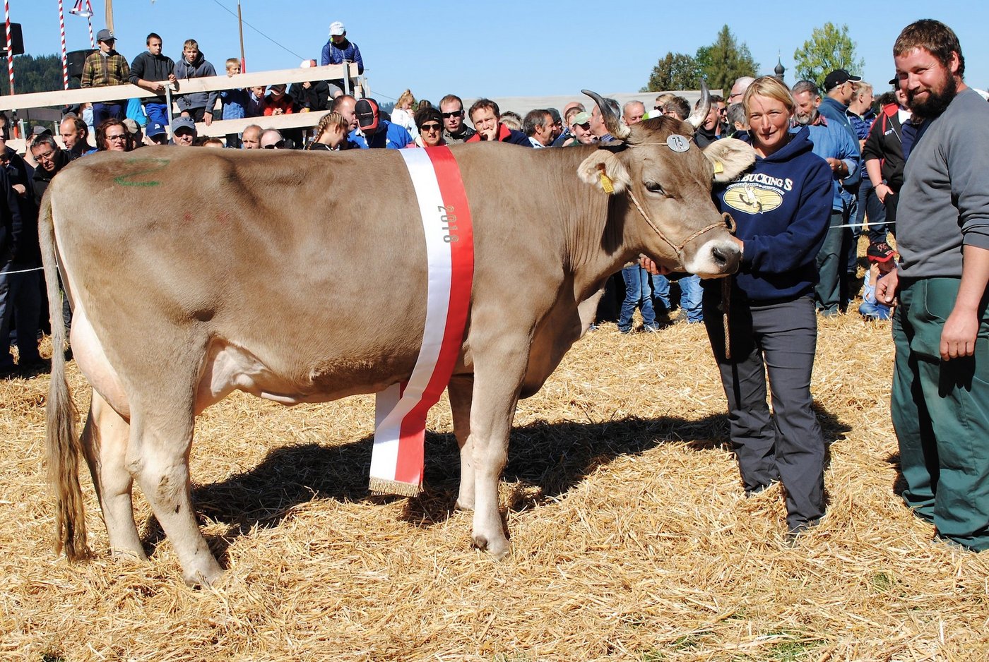 Miss OB Einsiedeln Minor Petra von Sonya Kryenbühl, Unteriberg.