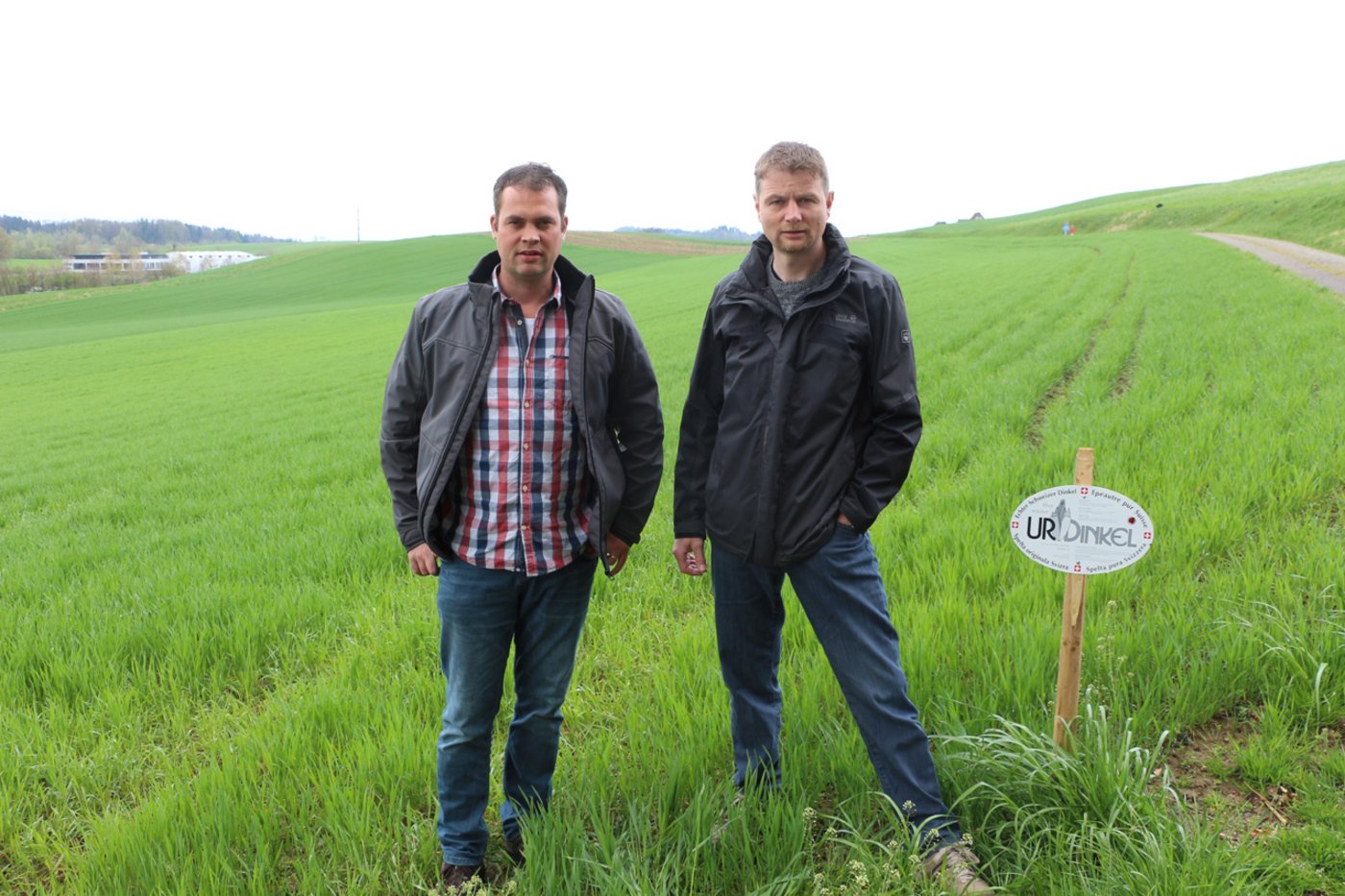 Markus Gut (l.) und Andreas Mohni: "Wir kennen unsere Abnehmer und fühlen uns ihnen gegenüber verpflichtet. Wir könnte nicht plötzlich mit Dinkelanbau aufhören." (Manuel Fischer)