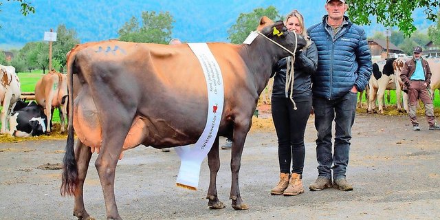 Jane von Jasmin und Christof Küchler, Kägiswil, war die schönste Jersey-Kuh in Giswil.