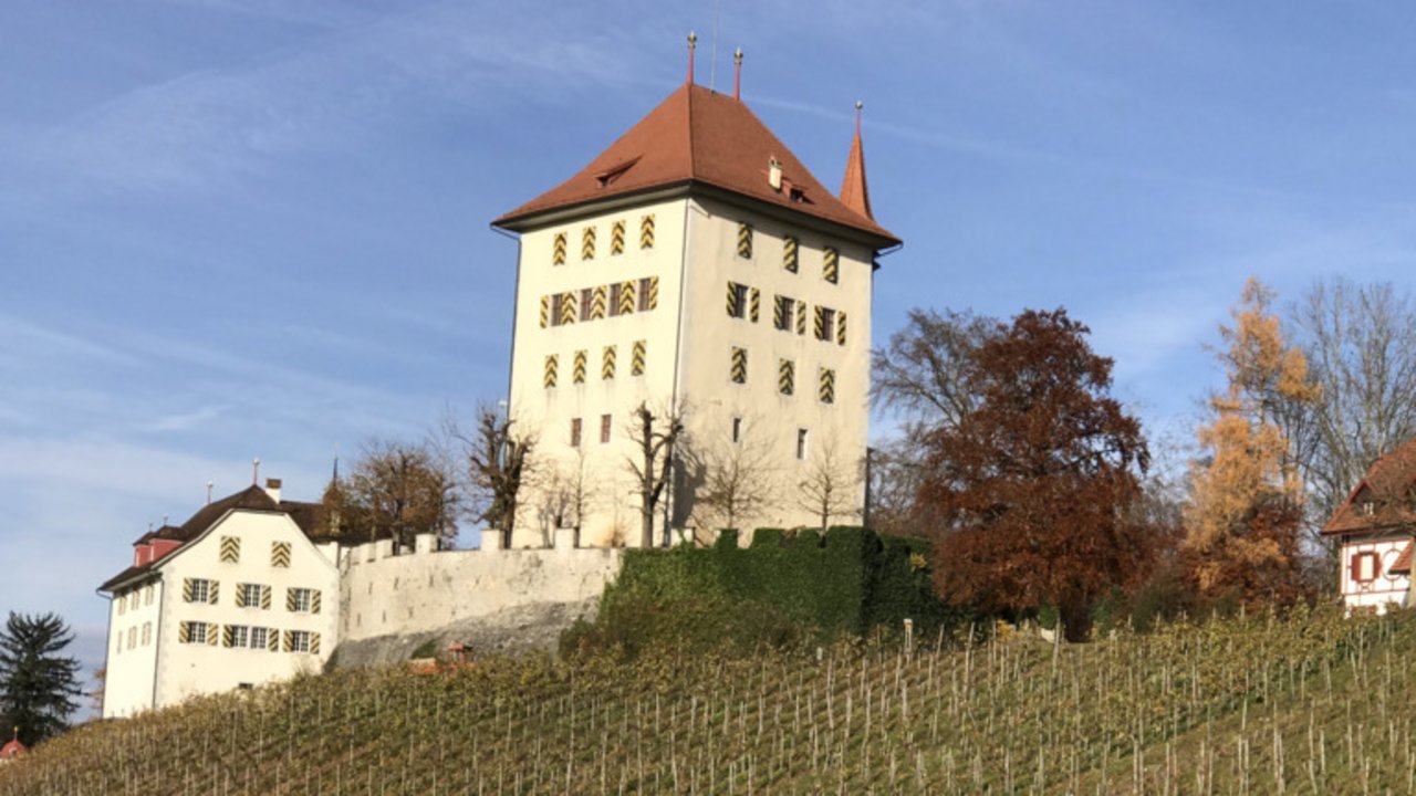 Das Weingut Heidegg. (Kanton Luzern)