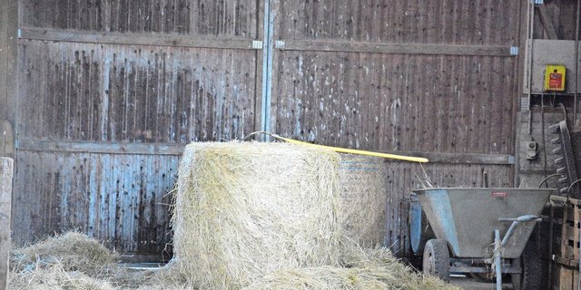 Die Digitalisierung kann helfen, effizienter zu werden. Dafür muss man Daten aber nicht nur erheben, sondern vor allem auch nutzen können.