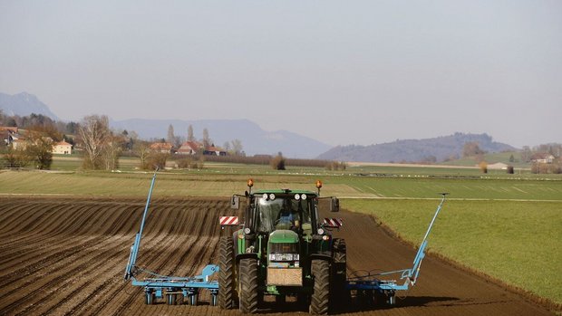 Eine übereilte Saat Eine übereilte Saat vor Nieder-schlag ist gefährlich.