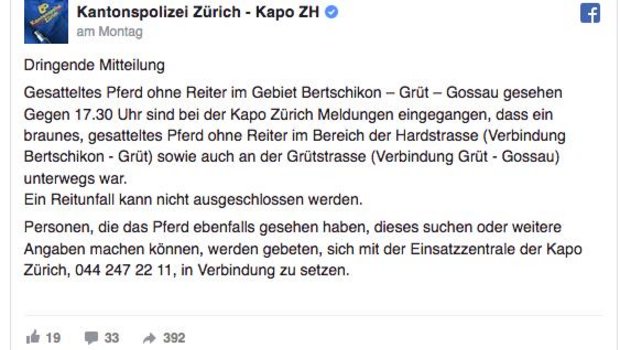 Die Kantonspolizei Zürich suchte über Facebook nach Zeugen. (Bild Screenshot Facebook)