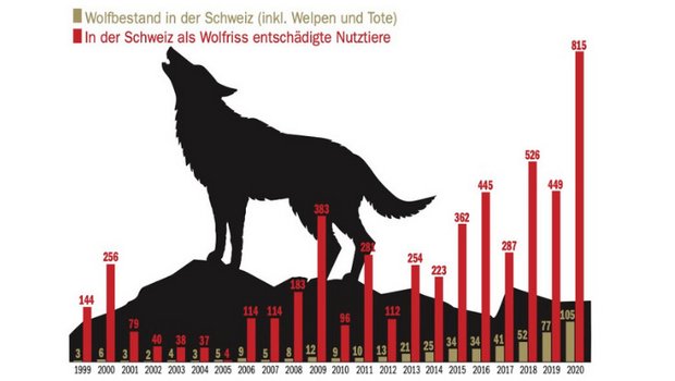 Bislang am meisten Wolfsrisse wurden letztes Jahr registriert. Die Daten werden von der Stiftung Kora erfasst. (Grafik ng/Daten Kora)