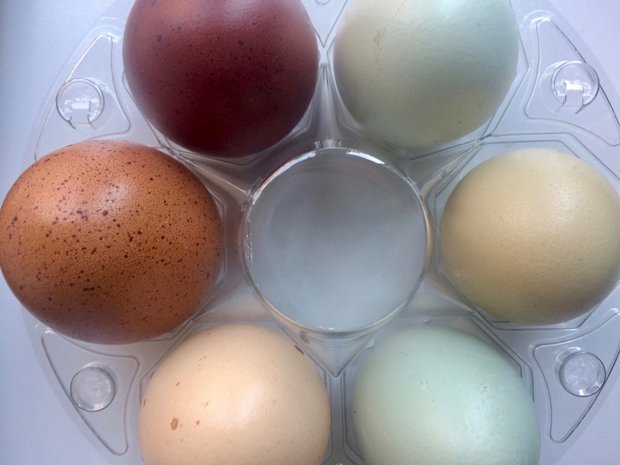 Rot, grün, blau – so hübsch sehen die natülichen Eier von den speziellen Hühnern aus. (Bild et) 