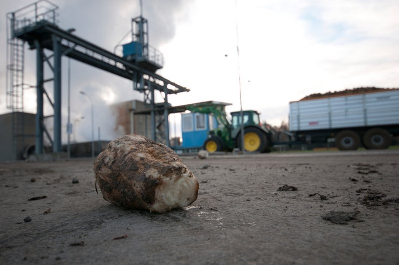 Saint Louis Sucre will die Zuckerproduktion im Jahr 2020 an zwei seiner vier Standorte im Land einstellen. (Bild iStock)