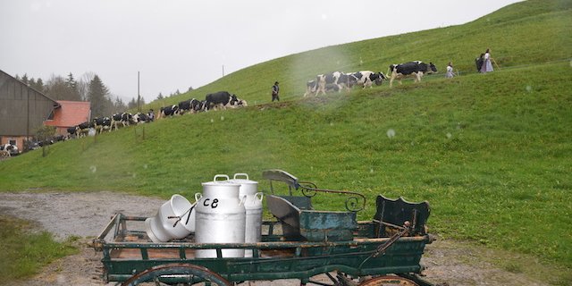 Gehört bei der Annahme der Initiativen der Alpazug (Poya) bald der Vergangenheit an? 