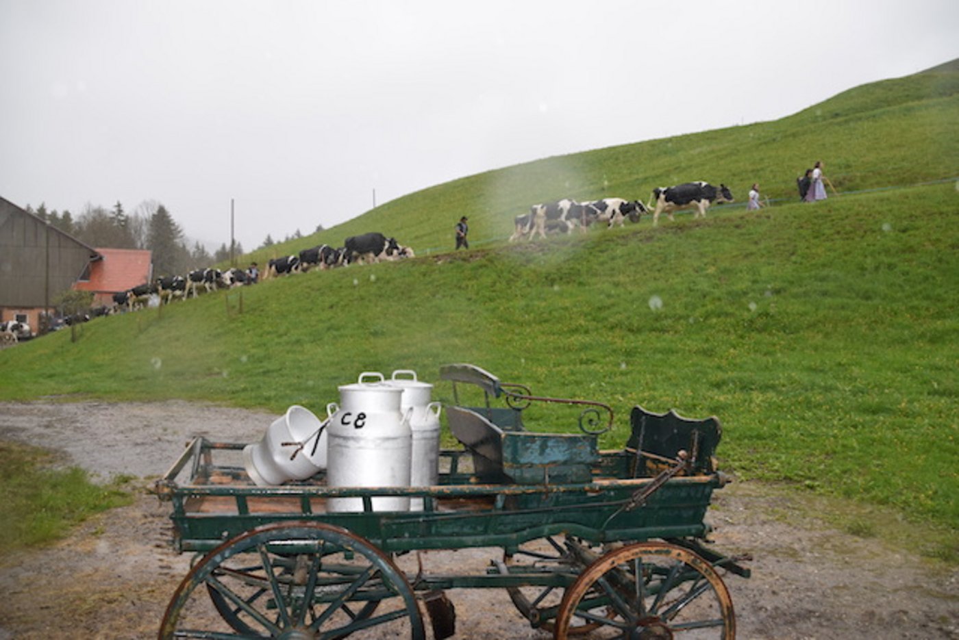 Gehört bei der Annahme der Initiativen der Alpazug (Poya) bald der Vergangenheit an? 