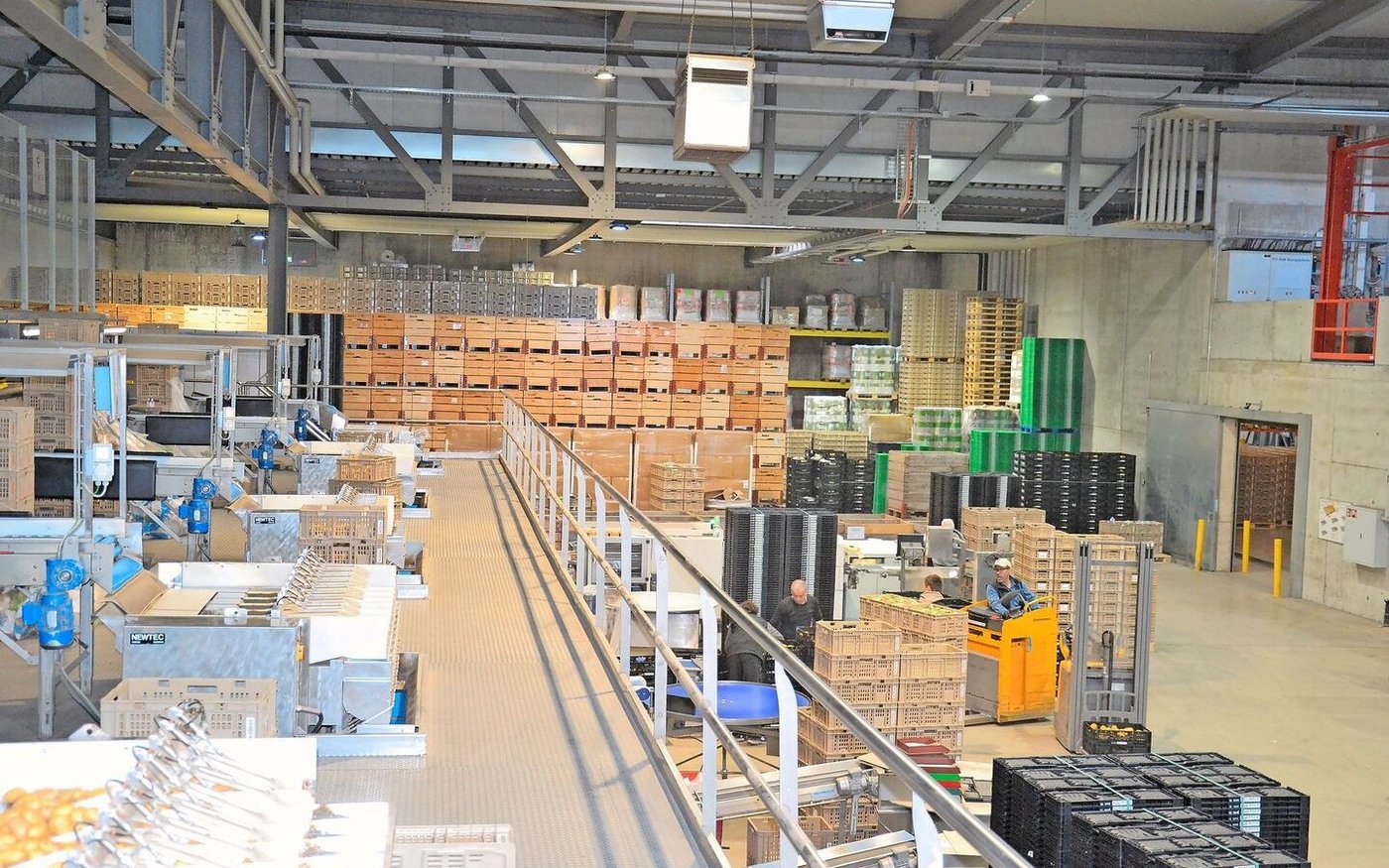 Links im Bild sind die Abpackstrassen zu sehen, rechts werden eine Ebene weiter unten die fertigen Säcke weitertransportiert. 