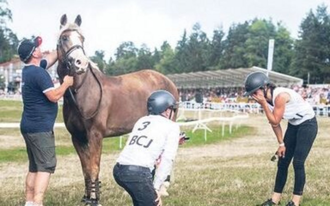 Das Bild zum Heiratsantrag in Saignelégier: Xavier Juillard ist die Überraschung gelungen.