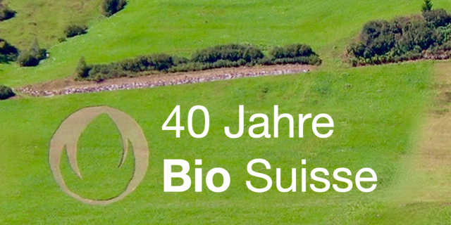 Symbolbild einer Bergwiese mit der daraus gemähten Bio-Knospe.