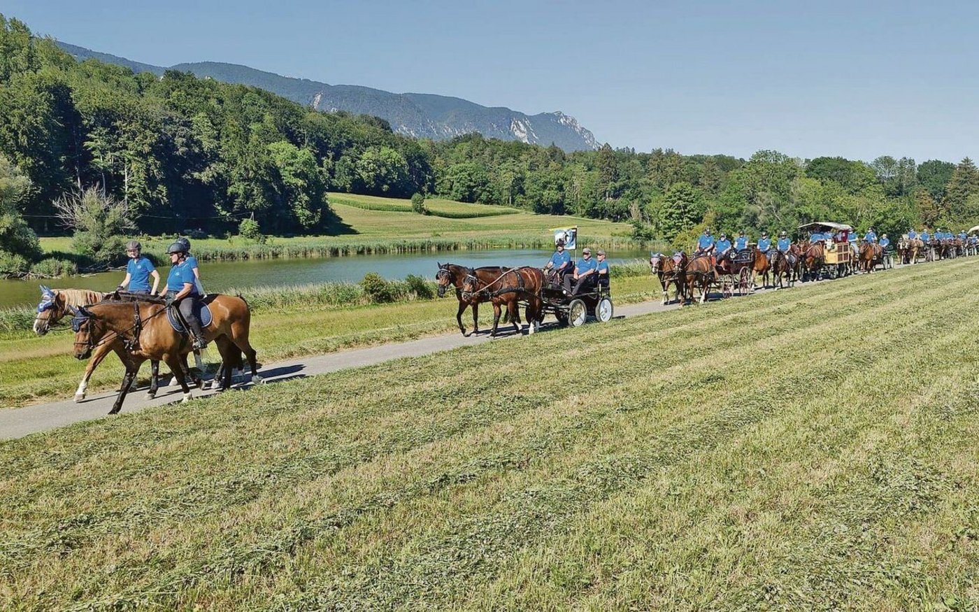 Für grosses Aufsehen hatte schon im Vorfeld der Aargauer Pferdetreck gesorgt.