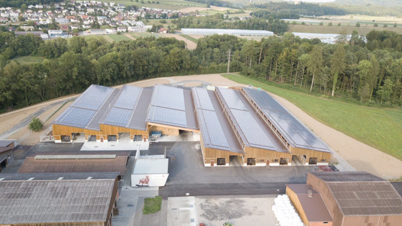 Die neu eröffneten Stallungen, wurden mit einer Photovoltaikanlage versehen. (Swissgenetics, zVg)