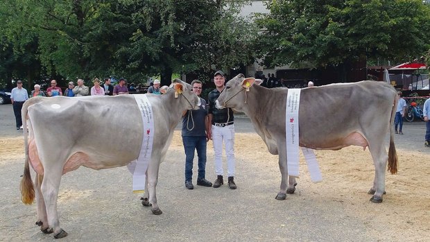 Sie sind die Siegeri Sie sind die Siegerinnen bei den Braunen: Miss Brown Swiss Bachmanns Blooming Berga (links) sowie Miss Schöneuter Bachmanns Superstar Sonbil.