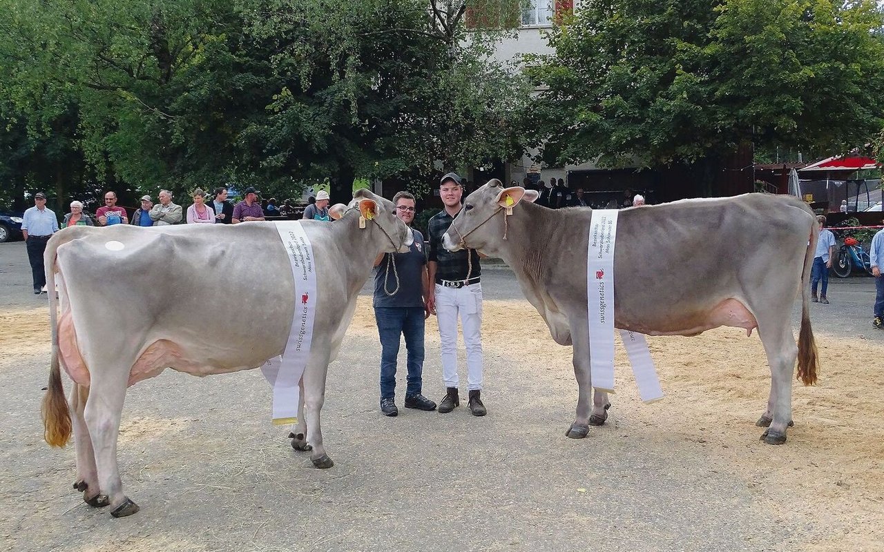 Sie sind die Siegerinnen bei den Braunen: Miss Brown Swiss Bachmanns Blooming Berga (links) sowie Miss Schöneuter Bachmanns Superstar Sonbil.