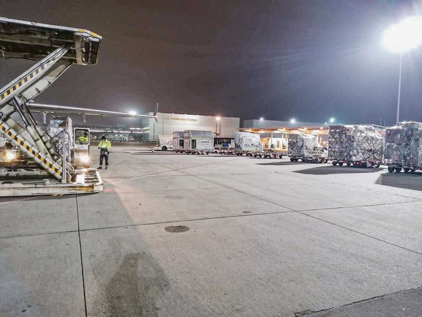 Diese Bild vom Verlad der Pferde entstand vor dem Abflug. Die Reise dauerte 21 Stunden. (Bild Egon Tschol))