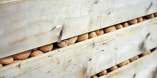 Nach dem Paloxenmangel muss sich die Kartoffelbranche fragen, ob Lagerkapazität und Infrastruktur in der Schweiz für gute Ernten ausreichen.