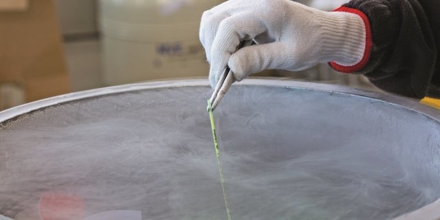 Bei der Überprüfung der Produktionsprozesse und -chargen konnte kein systematischer Fehler gefunden werden. (Bild Swissgenetics)