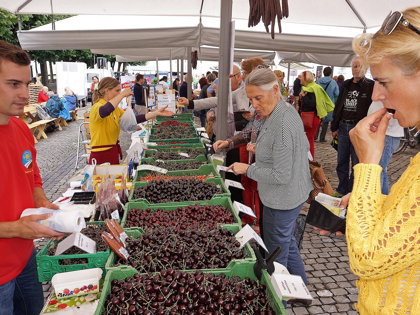 Der Zuger Chriesimärt, 1627 erstmals urkundlich erwähnt, ist der älteste Kirschenmarkt der Schweiz und findet jedes Jahr ab Mitte/Ende Juni täglich auf dem Zuger Landsgemeindeplatz statt. Angeboten werden verschiedene, teilweise rare Kirschensorten von Hochstamm-Bäumen, die von den Chriesibauern in der Region rund um die Stadt Zug gepflanzt und gepflegt werden. (Bild zVg)