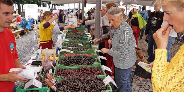 Der Zuger Chriesimärt, 1627 erstmals urkundlich erwähnt, ist der älteste Kirschenmarkt der Schweiz und findet jedes Jahr ab Mitte/Ende Juni täglich auf dem Zuger Landsgemeindeplatz statt. Angeboten werden verschiedene, teilweise rare Kirschensorten von Hochstamm-Bäumen, die von den Chriesibauern in der Region rund um die Stadt Zug gepflanzt und gepflegt werden. (Bild zVg)