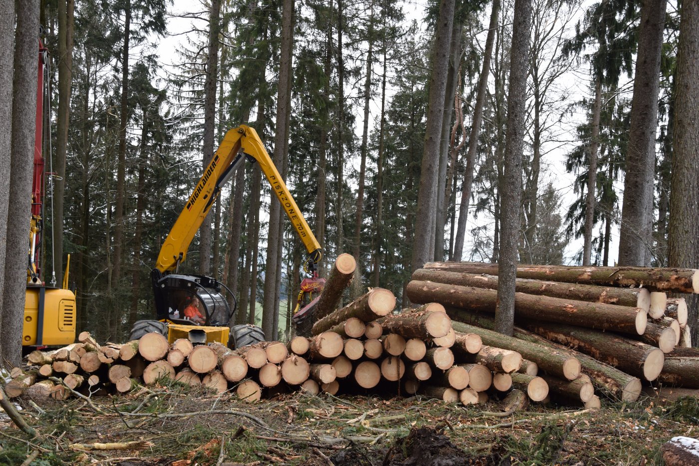 Hier wird der Baum maschinell entastet und auf die nötige Länge abgesägt. (Bilder Peter Fankhauser)