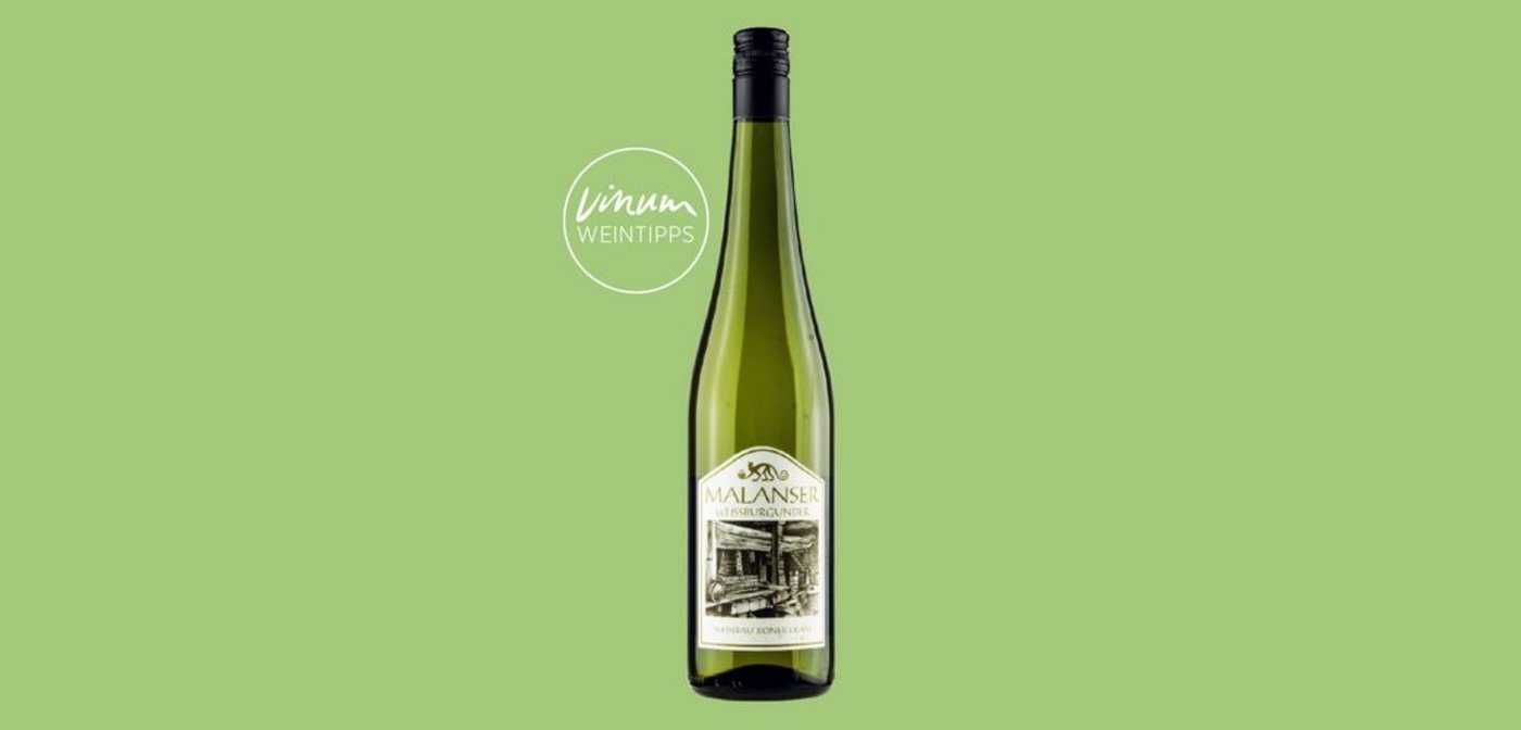 Entdecken Sie mit Vinums Route 66 eine Auswahl der besten Schweizer Bioweine. (Bild Vinum)