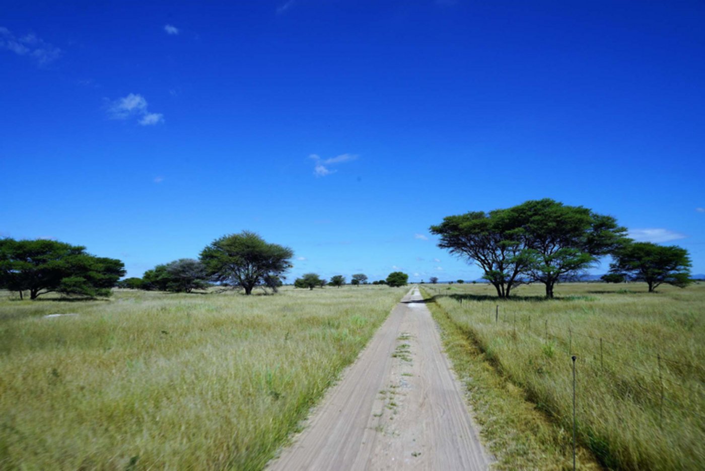 Südafrika: Die „besten Farmer der Welt“ sind am meisten bedroht. (Bild mr/lid)
