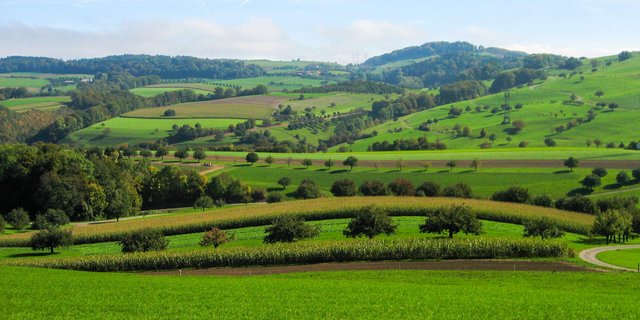 Vielfältige Landschaften, ein Mosaik an unterschiedlichen Lebensräumen für Tiere und Pflanzen und eine hohe Baukultur: Das zu erhalten sei das Ziel der Biodiversitäts-Initiative, so der Trägerverein. (Bild biodiversitaetsinitiative.ch) 