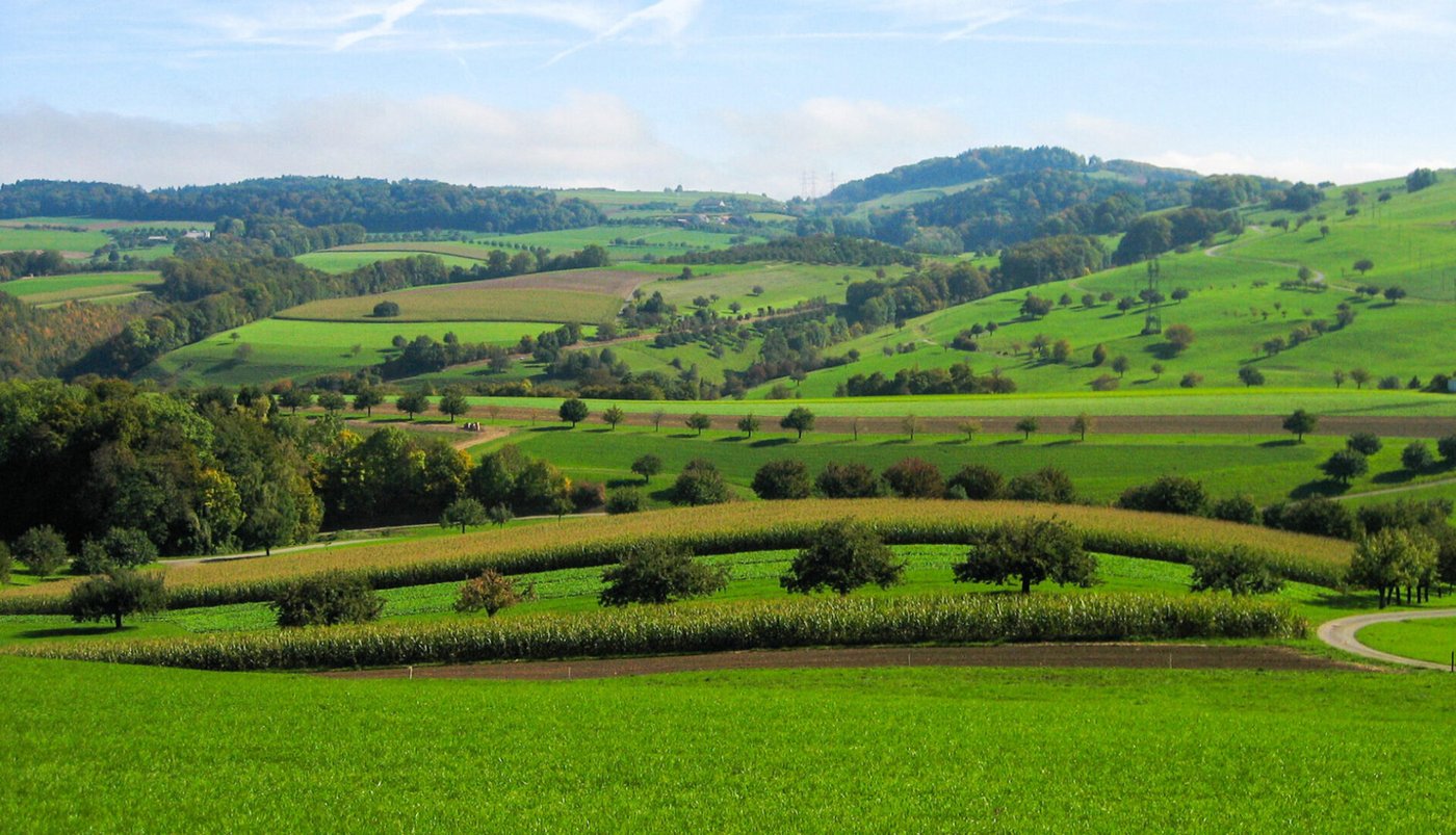 Vielfältige Landschaften, ein Mosaik an unterschiedlichen Lebensräumen für Tiere und Pflanzen und eine hohe Baukultur: Das zu erhalten sei das Ziel der Biodiversitäts-Initiative, so der Trägerverein. (Bild biodiversitaetsinitiative.ch) 