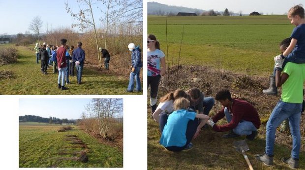 Schülerinnen und Schüler pflanzen über 400 einheimische Sträucher für die Goldammer Nach fachkundigen Anweisungen konnten die Schülerinnen und Schüler zu den Schaufeln greifen und so neuen Lebensraum schaffen. (Bilder Heckenprojekt)