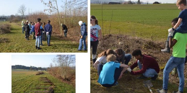 Nach fachkundigen Anweisungen konnten die Schülerinnen und Schüler zu den Schaufeln greifen und so neuen Lebensraum schaffen. (Bilder Heckenprojekt)