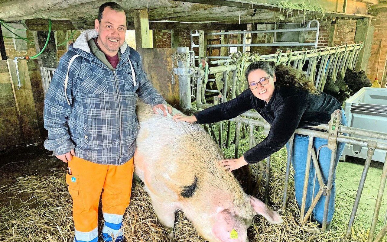 Andreas Hirschi und Esther Hürlimann kauften Olma-Eber Johnny. Nach einem Unfall mussten sie ihn einschläfern lassen.