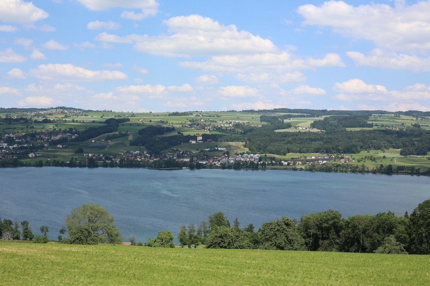 Das warme Wetter 2015 hat den Zustand des Baldeggersees verschlechtert. Dieser braucht wieder mehr Sauerstoff.