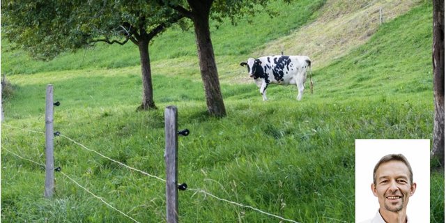 « Mit importierten Futtermitteln gelangen viele Nährstoffe in unser Land. Diese fehlen dann in den Herkunftsländern», erklärt Bio-Suisse-Präsident Urs Brändli. (Bild BauZ/zVg)