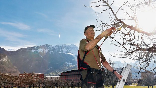 Obstbau und der Pistenrettungsdienst sind zwei Leidenschaften von Xaver Appert. Im Hintergrund das Skigebiet auf dem Stoos.
