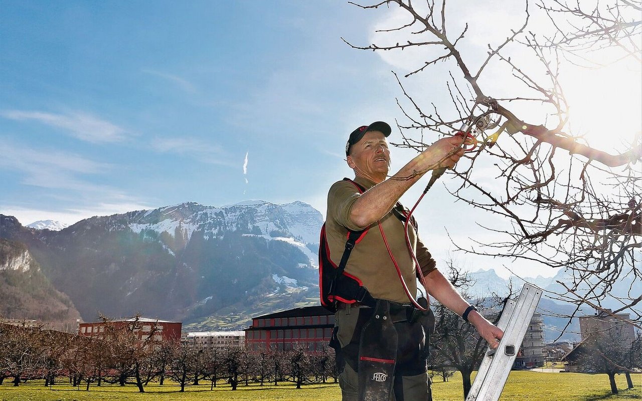 Obstbau und der Pistenrettungsdienst sind zwei Leidenschaften von Xaver Appert. Im Hintergrund das Skigebiet auf dem Stoos.